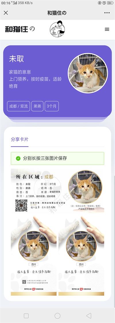 Thinkphp5内核流浪猫流浪狗宠物领养平台H5源码