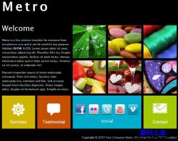 Metro界面风格个人网站模板_企业官网模板