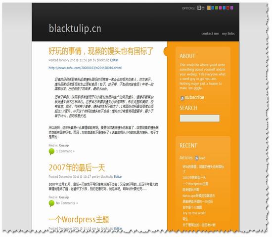 WordPress Skittlish年度佳18__wordpress主题