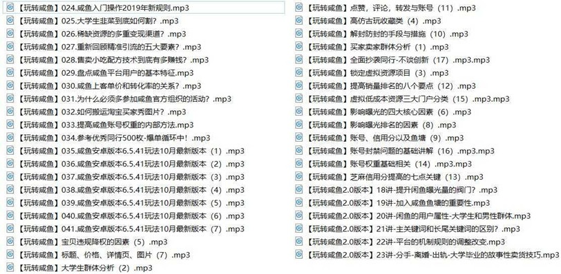 玩转闲鱼挣钱基础入门41讲