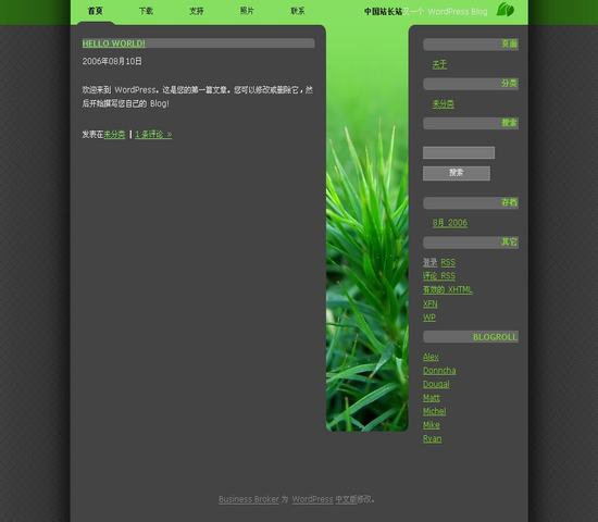 WordPress Greenery__主题下载