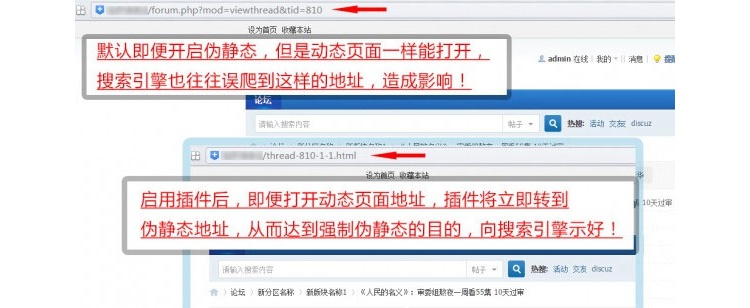 Discuz强制伪静态地址seoV5.3插件DZ论坛SEO插件