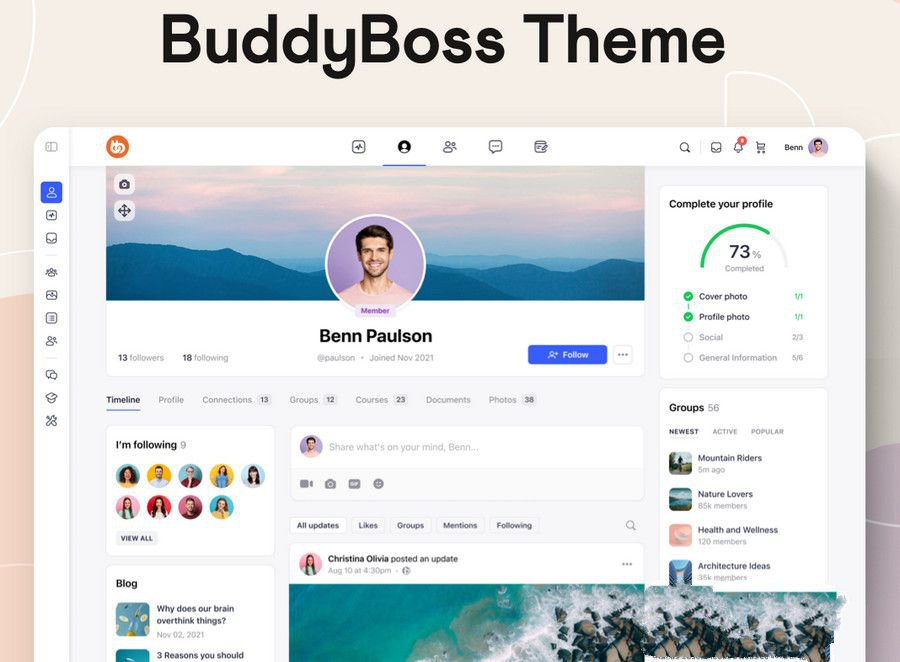 WordPress 高度定制主题BuddyBoss激活版