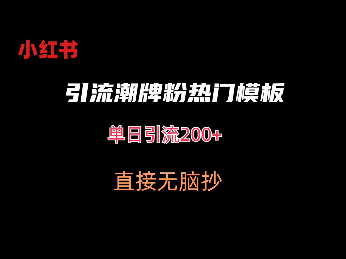 最新小红书无脑套模板单日引流200+