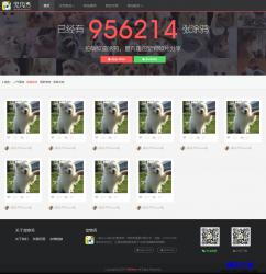 HTML5-宠物社区分享网站响应式模板_帝国cms模板