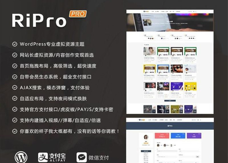 RiPro 4.9版资源下载站WordPress主题模板