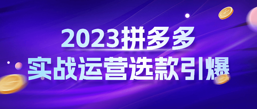 拼多多精品实战课程：2023拼多多实战运营选款引爆