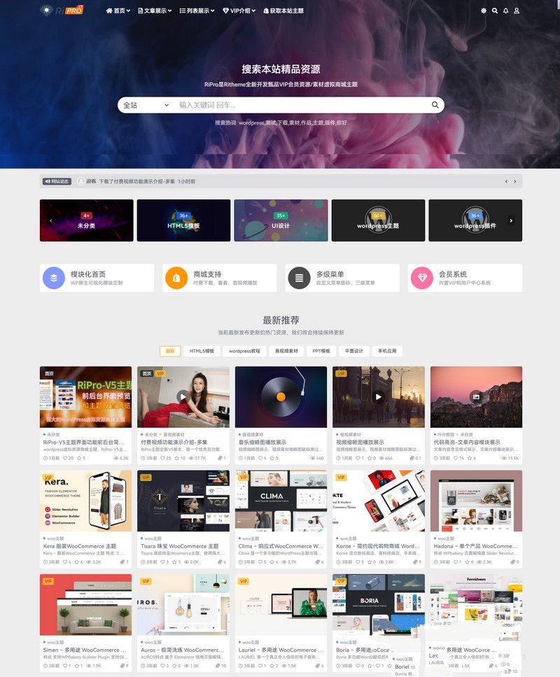WordPress虚拟资源商城主题 RiPro-V5激活版V7.1.3 RiPro-V5开心版