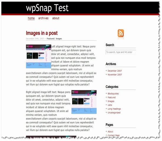 WordPress CopyBlogger年度佳13__wordpress主题