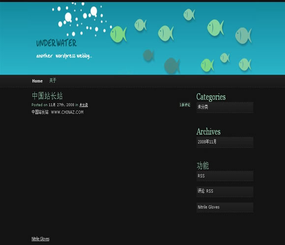 WordPress Under Water模板_Yunyiwl.com_wordpress模板插图