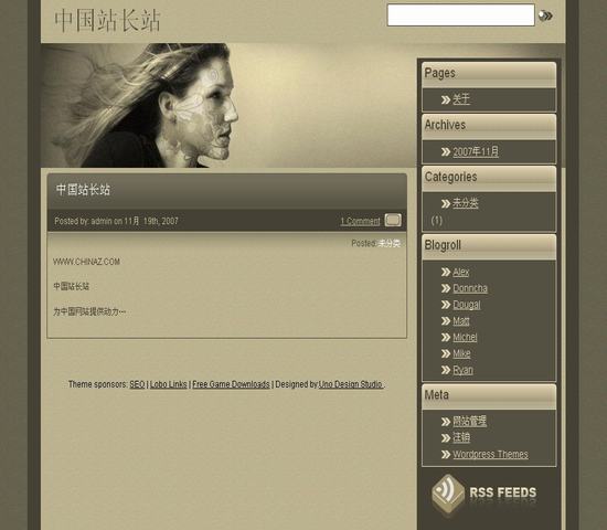 WordPress 主页风格__主题下载