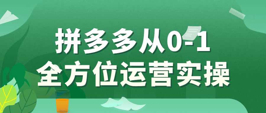 网赚课程：拼多多从0-1全方位运营实操