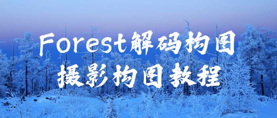 摄影精品课程：Forest解码构图摄影构图教程