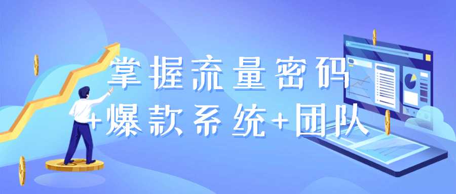 网赚课程：掌握流量密码+爆款系统+团队