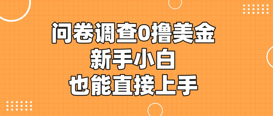 国内可做的国外问卷调查0撸美金新手小白也能直接上手