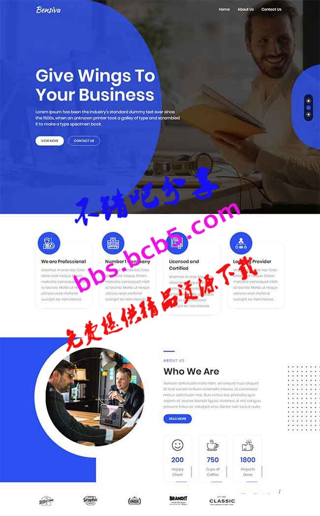 商业服务公司HTML5网站模板|基于Bootstrap框架制作蓝色商业咨询业务公司模板
