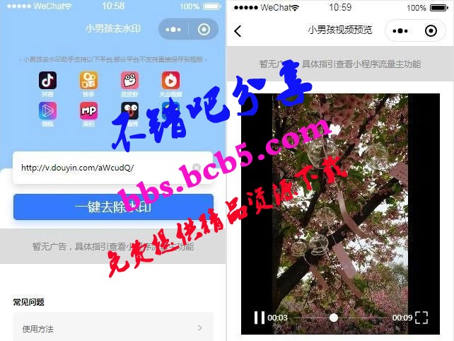 抖音去水印小程序源码独立版 无后台