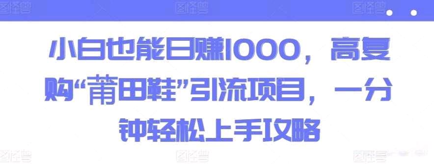 小白也能日赚1000高复购“莆田鞋”引流项目