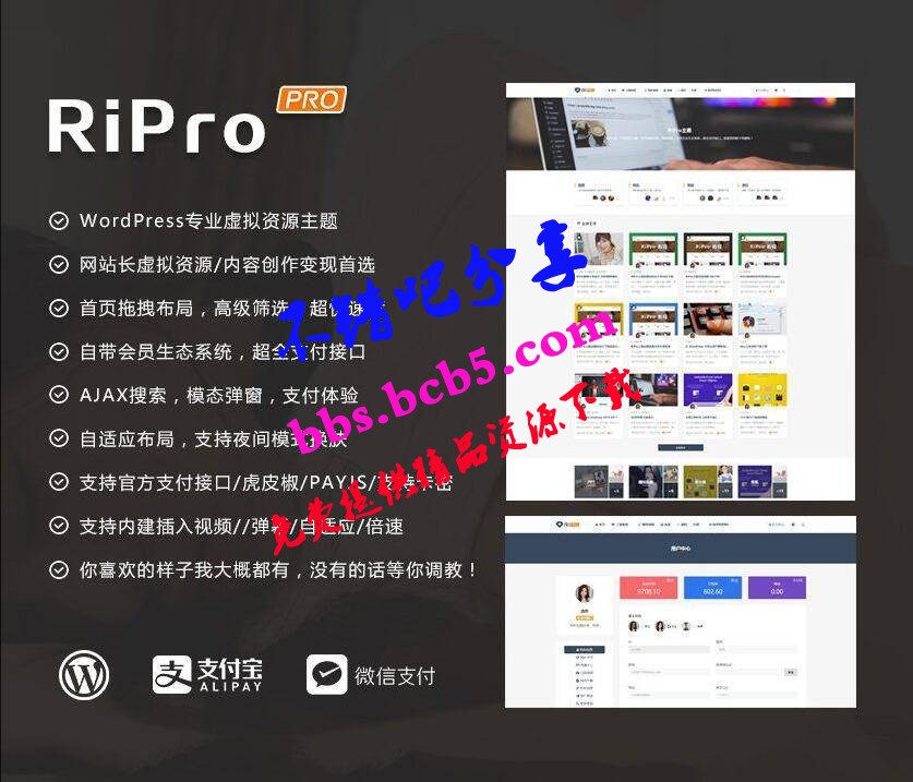 ripro8.7日主题破解版 WordPress主题ds