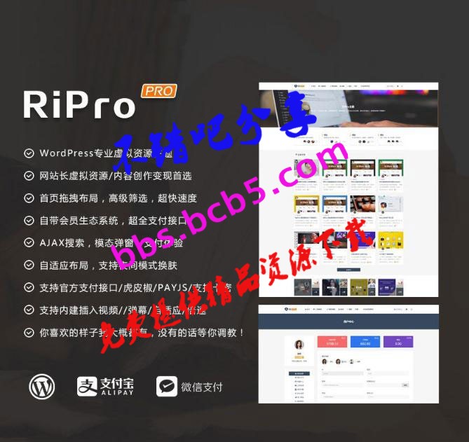 WordPress主题 RiProV4.3.0破解去授权无限制版本 支持支付宝，专业虚拟资源主题