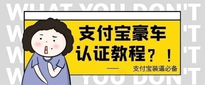 小众项目支付认证豪车